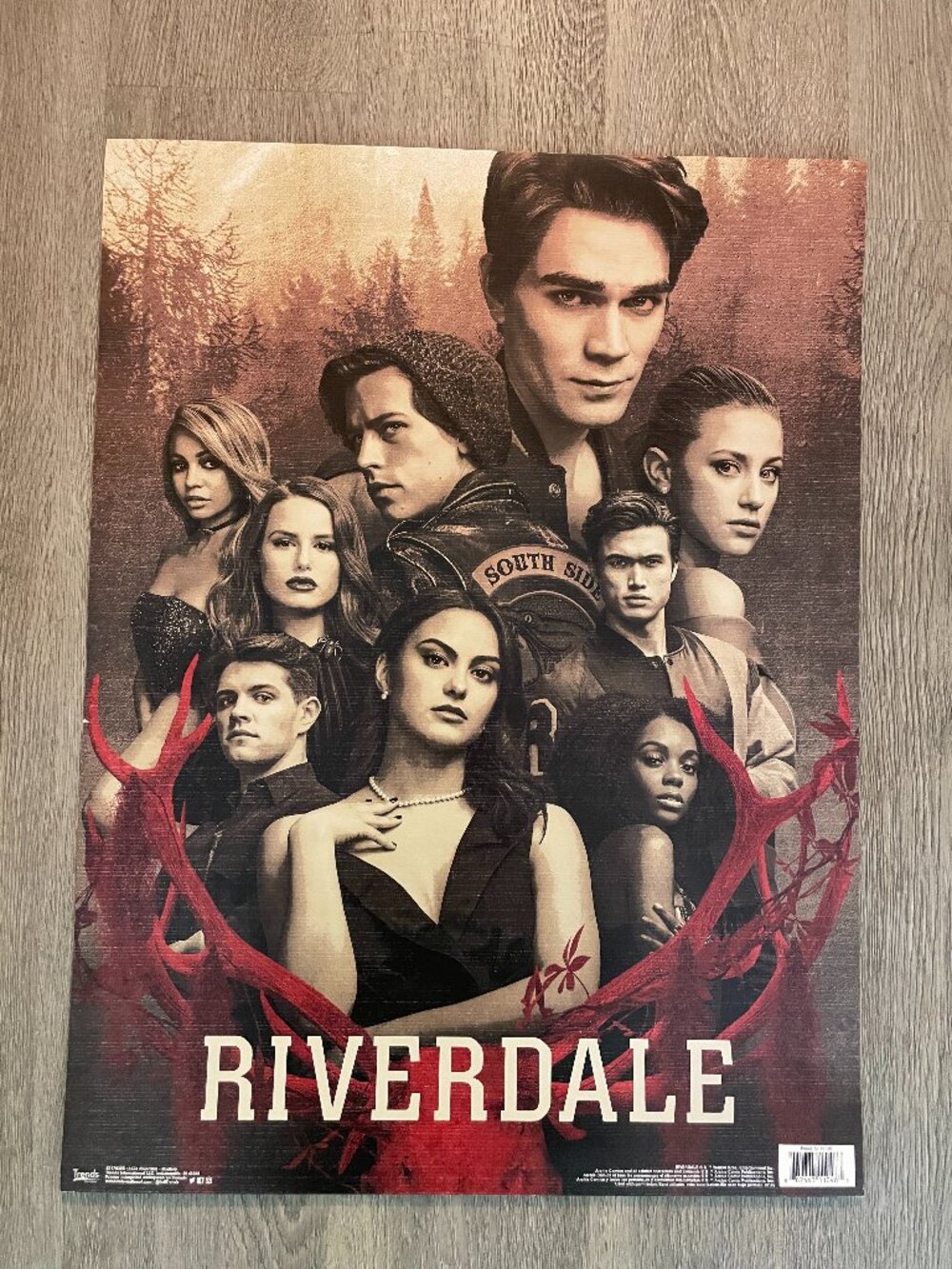 Riverdale Mystery Official Licensed TV Series Wall Poster 24 x 18.5 Trends 2019